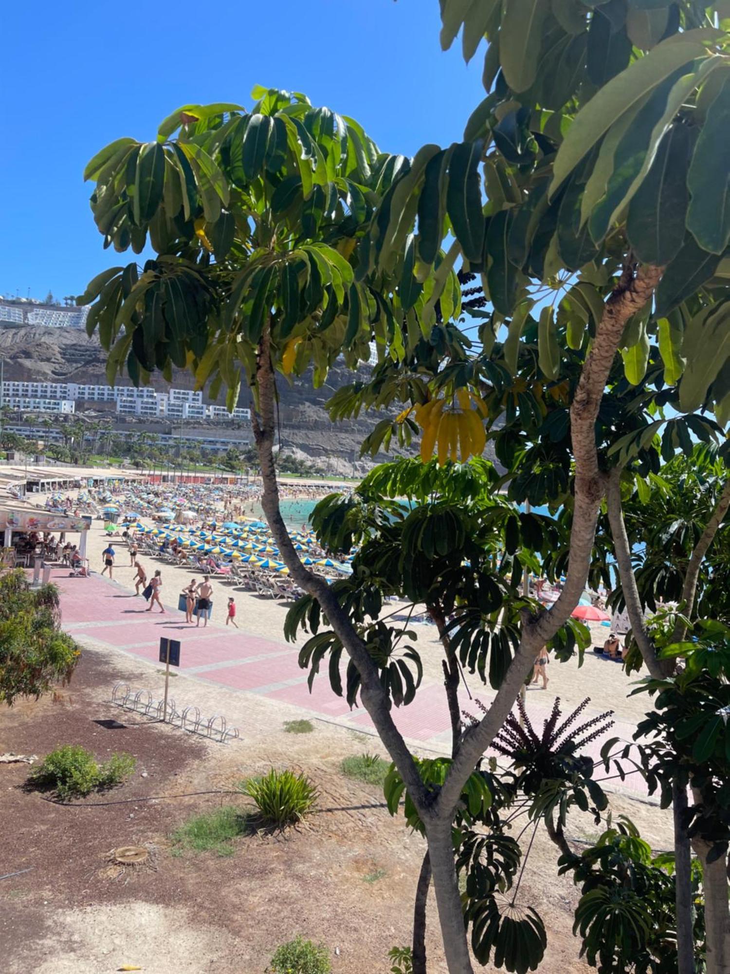 Puerto Rico New 2 Bedroom Apart Екстериор снимка